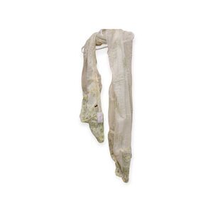 Scarf Raj Long Indian Silk Chiffon Ivory Scarf With Green Highlights